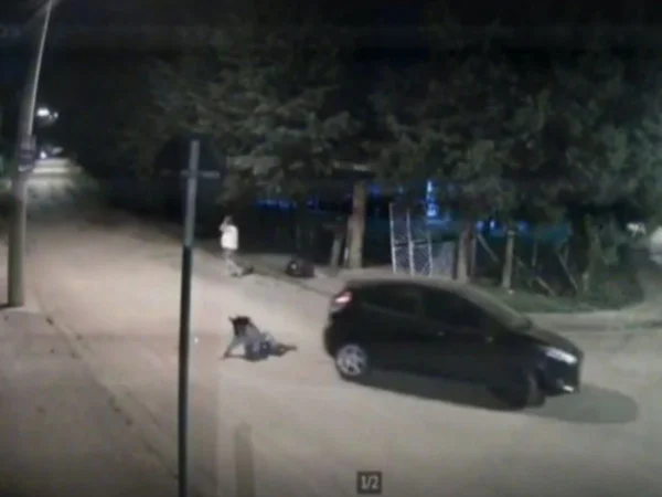 Imagem colorida de mulher no chão após ser atropelada