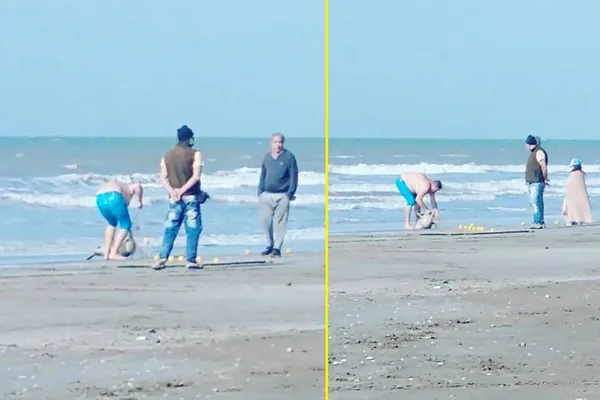 Homem furtando golfinho