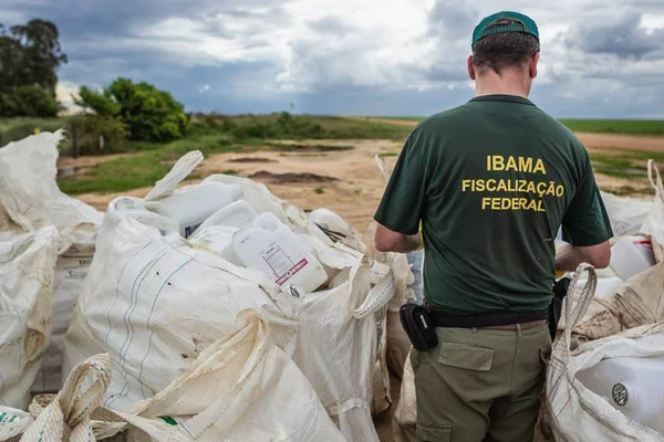Ibama insistirá em pedido para concurso público com até 1,8 mil vagas