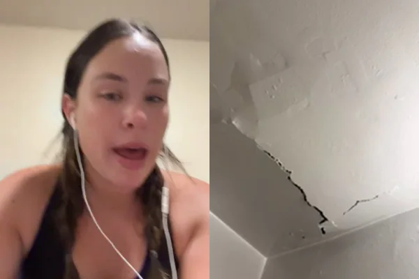 Teto desaba e infesta apartamento de baratas em Nova York