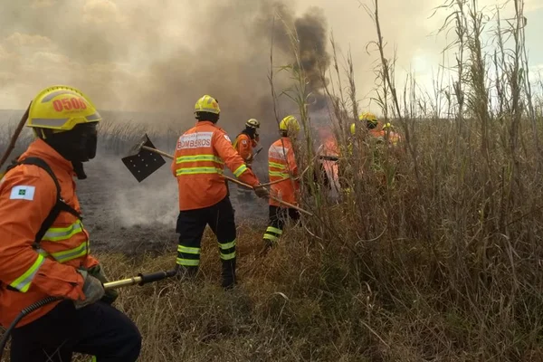 Grande incêndio atinge área de mata próxima ao Parque Nacional