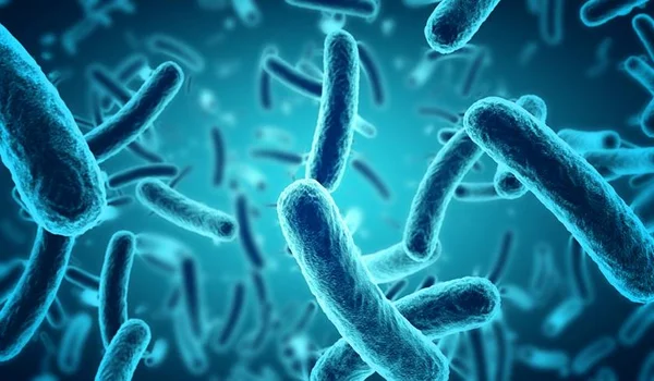 Casos de infecção sexual que apodrece a pele crescem no Reino Unido