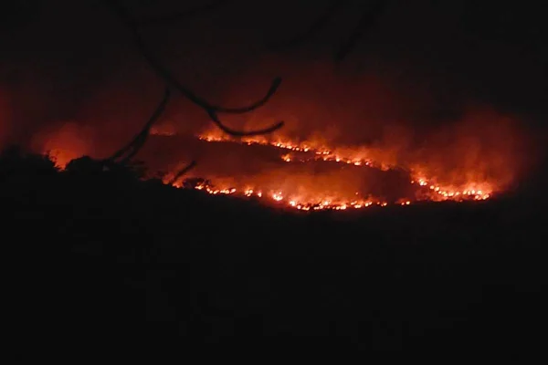 Incêndio de grandes proporções atinge área da chapada dos veadeiros em goiás