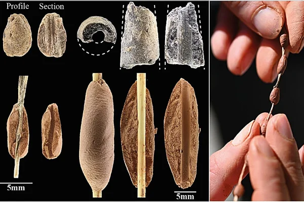 Imagem colorida mostra peças de argila feitas por natufianos - Metrópoles