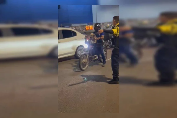 Cão em Blitz do Detran em Águas Claras
