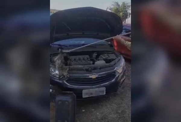 Captura de vídeo em que um saruê é resgatado por policial, no fundo aparece um carro preto com o capô levantado