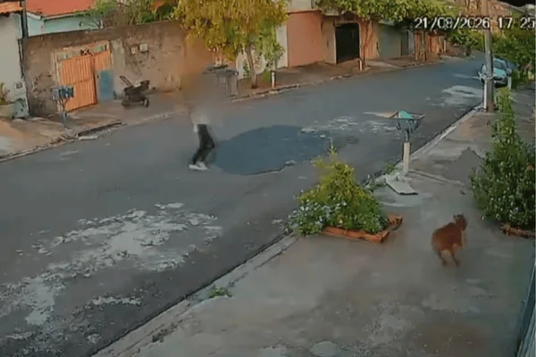 Carrinho de bebê desce rua sozinho após mãe correr atrás de pitbull