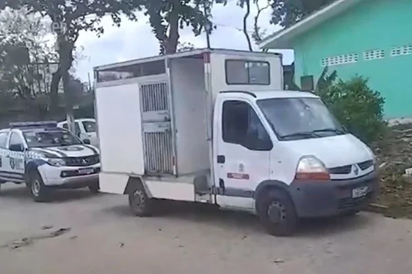 Imagem coloirda de canil clandestino em João Pessoa - Metrópoles