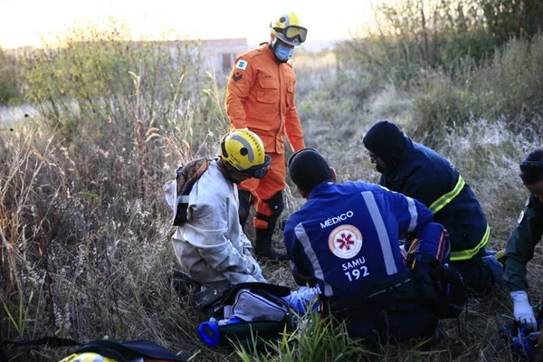 Ao remover colmeia, morador de Planaltina morre atacado por abelhas