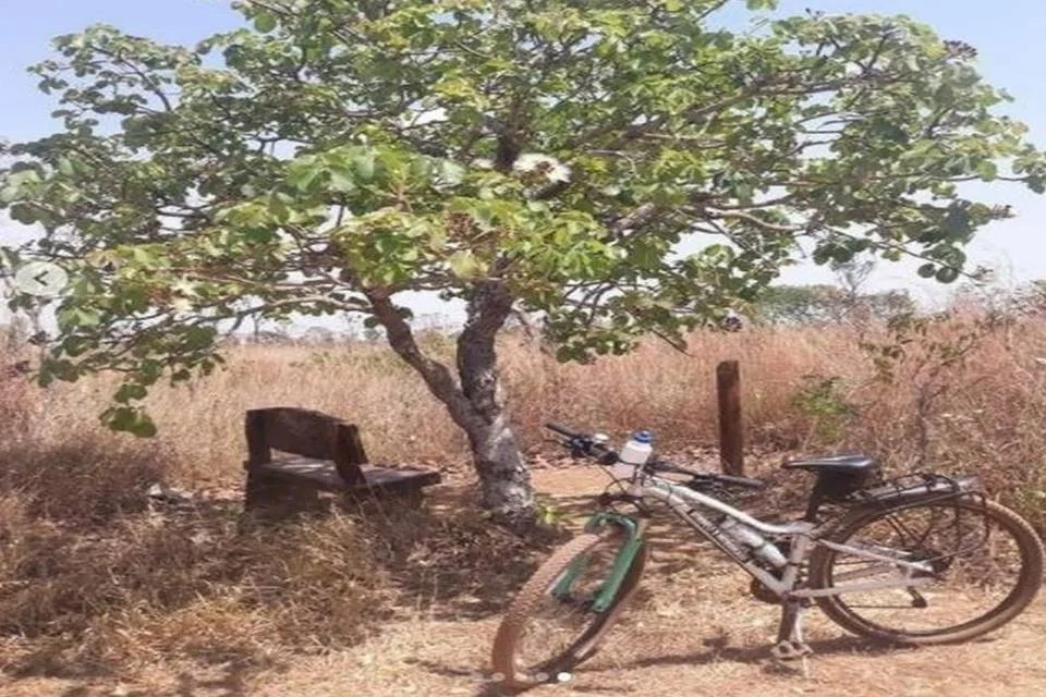 Bicicleta de uma das estudantes levada por bandidos Bicicleta de uma das estudantes levada por bandidos