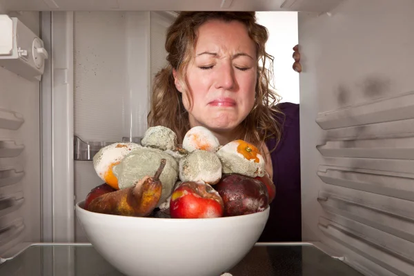 Posso comer alimentos mofados?