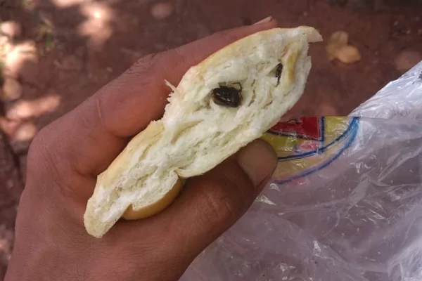 Criança encontra barata no meio de pão francês
