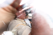 Jair Bolsonaro é ex-presidente