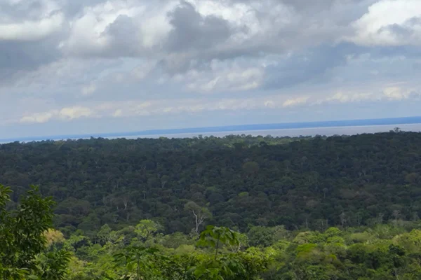 Imagem colorida mostra paisagem da Amazônia - Metrópoles