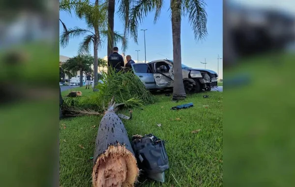Motorista bate em coqueiro e fica gravemente ferido em Florianópolis