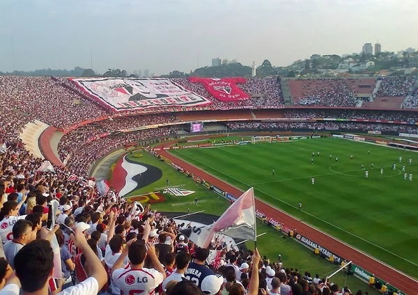 Torcedor do São Paulo morre após cair do alto da arquibancada do Morumbi