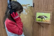 Zoológico de Brasília oferece programação de férias