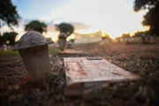 Do exílio ao anonimato: túmulo de ditador está sem identificação - imagem 3 Do exílio ao anonimato: túmulo de ditador está sem identificação - imagem 3