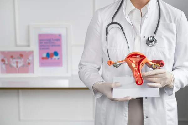 Foto colorida de médico segurando um modelo 3D do útero feminino - Câncer de colo do útero: é possível erradicar casos até 2030? - Metrópoles