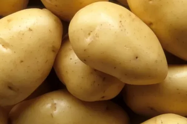batatas