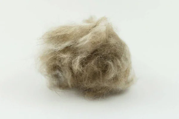 na foto vemos uma bola de pelos