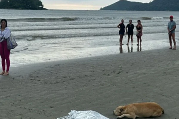 Imagem colorida de cachorro ao lado do dono
