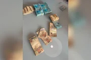Operação Terra Arrasada foi deflagrada nesta quinta