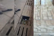 Calhas estavam sujas e entupidas no CED 4 do Guará, onde menino sofreu picada de escorpião 