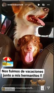 Ele saiu de casa de novo, mas não sozinho Ele saiu de casa de novo, mas não sozinho