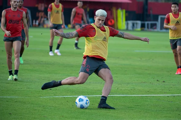Pedro Flamengo treino