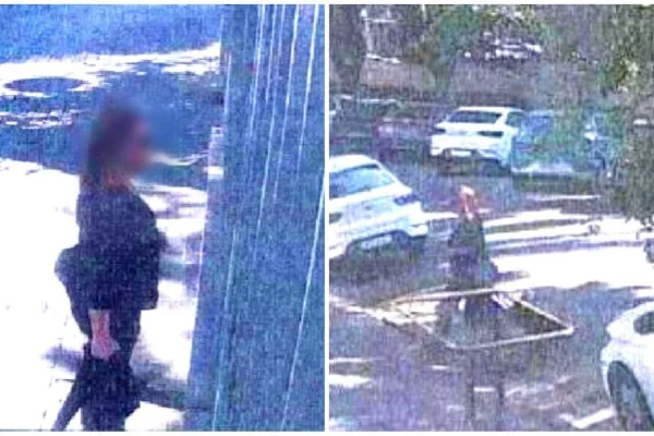 Imagem colorida mostra mulher que perseguia a atriz Débora Falabella na frente do condomínio dela em São Paulo - Metrópoles
