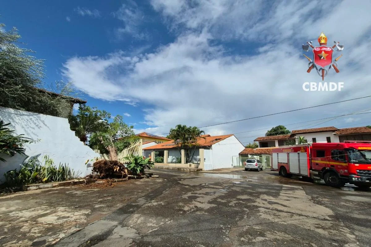 Chuva forte derruba árvore sobre muro de casa no Lago Norte