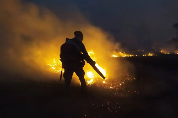 incêndio florestal atinge parque terra ronca, em goiás