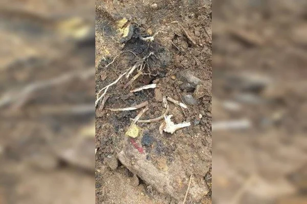 Polícia encontra ossada humana em operação na zona oeste do Rio