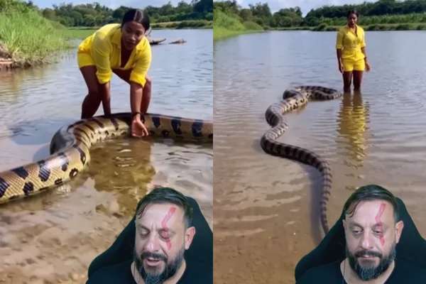Cobra gigante