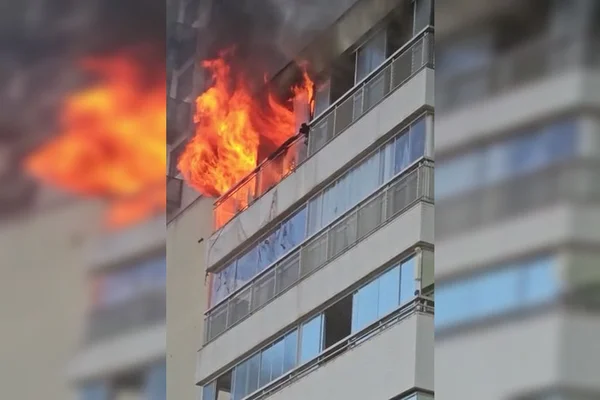 “Material se recupera, minha Sabrina não”, diz dona de gata morta em incêndio no DF