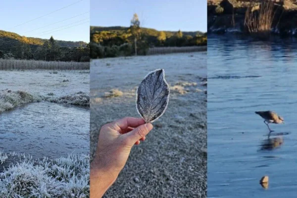 Imagem colorida, Imagens encantadoras mostram a beleza de SC em dia de frio intenso - Metrópoles