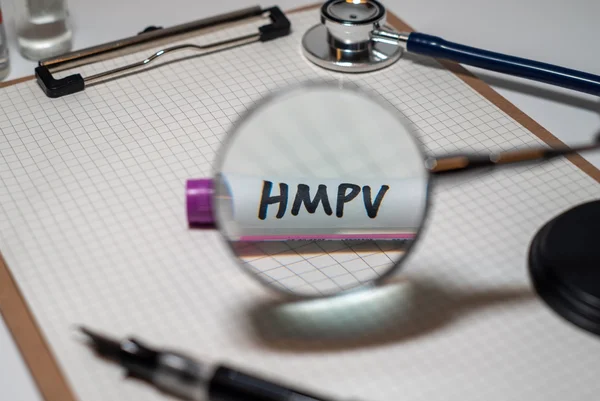 kit RT-PCR do metapneumovírus humano (HMPV)