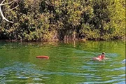 Jovem morre afogado após atravessar rio durante pescaria em Goiás - imagem 2 Jovem morre afogado após atravessar rio durante pescaria em Goiás - imagem 2