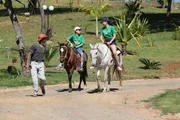 Passeio a cavalo Passeio a cavalo