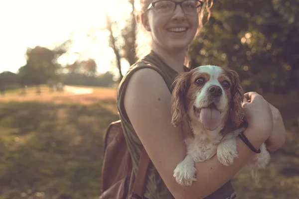 Estresse do dono contamina humor do cachorro, diz pesquisa científica