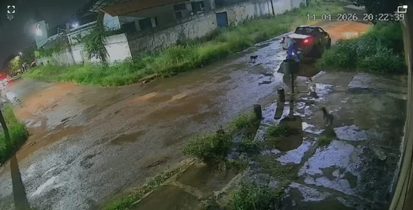 homem abandonando cães