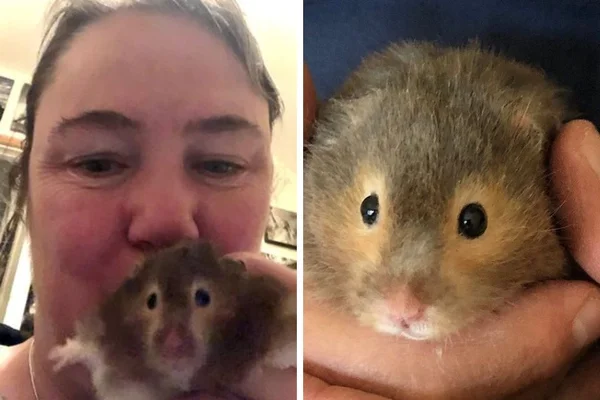 foto colorida de mulher segurando o hamster
