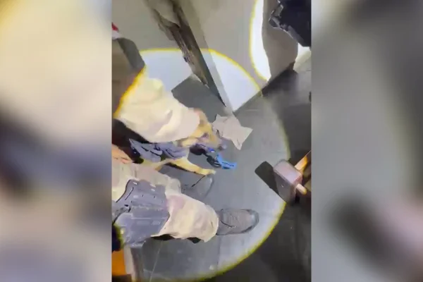 BH: cão Simon ajuda PM a encontrar drogas escondidas embaixo de cama