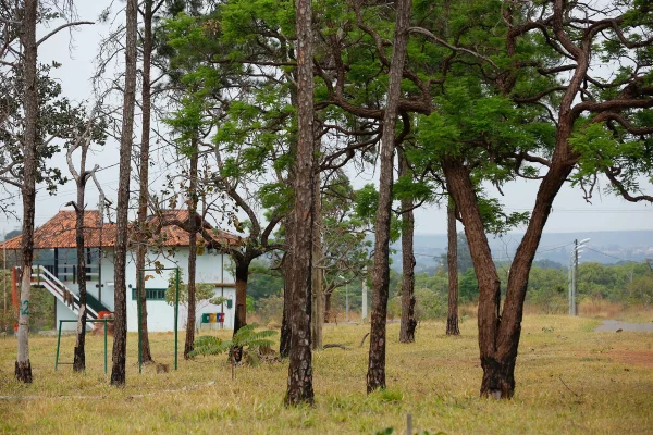 Projeto tira área do Parque Ezechias Heringer