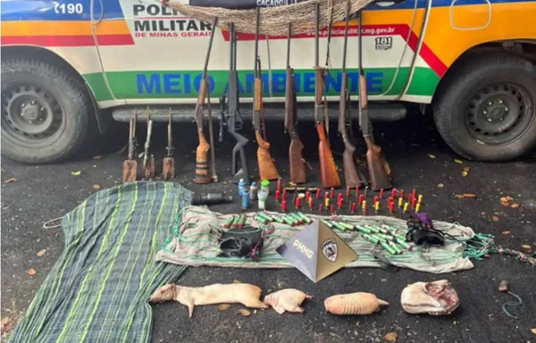 Imagem colorida de Apreensão de armas e animais silvestres em Minas