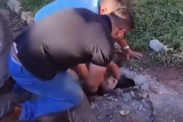 Imagem colorida dos agentes da prefeitura de Itapeva que improvisaram resgate de pit-bulls. Metrópoles
