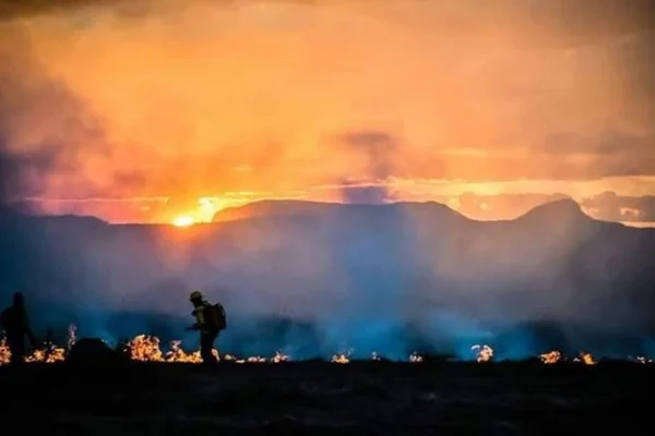 Estudo aponta riscos causados por retardante usado na Chapada dos Veadeiros