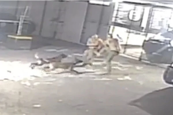 Imagem colorida com dois policiais brigando e cães correndo em direção aos brigões- Metrópoles