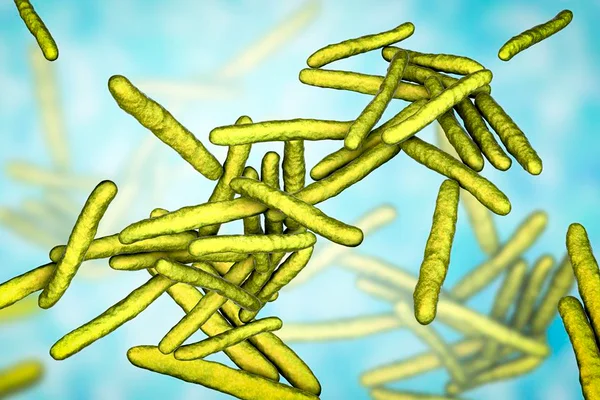 Doenças negligenciadas, protozoários, parasitas, hanseníase